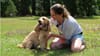Guide Dogs for the Blind (UK)